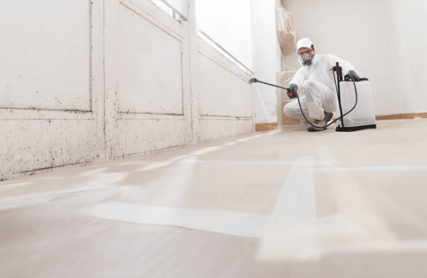 24/7 Emergency Commercial Mold Remediation experts in Keyport, NJ